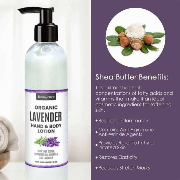 Lavender Organic Hand, Body and Massage Lotion-ibodycare