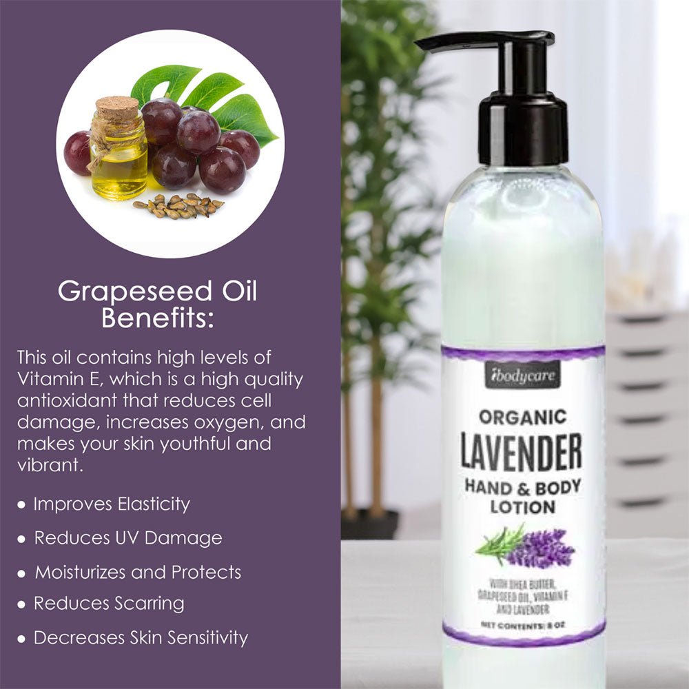 Lavender Organic Hand, Body and Massage Lotion-ibodycare