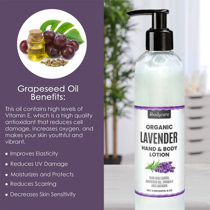 Lavender Organic Hand, Body and Massage Lotion-ibodycare