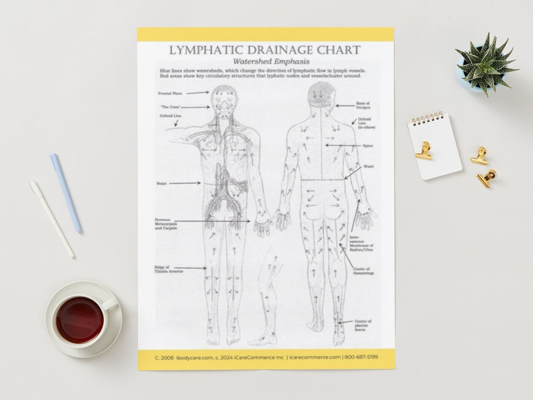 Lymph Drainage Poster for Manual Lymphatic Drainage-ibodycare