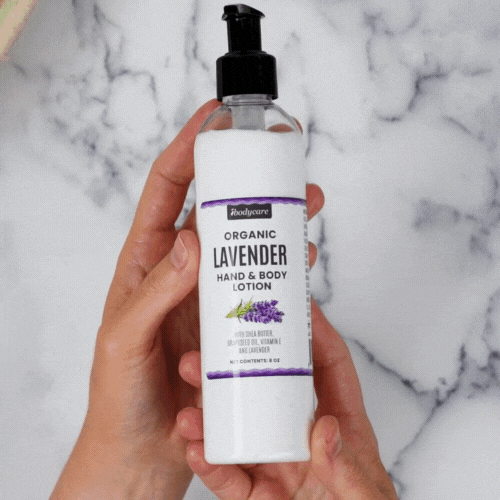 Lavender Organic Hand, Body and Massage Lotion-ibodycare