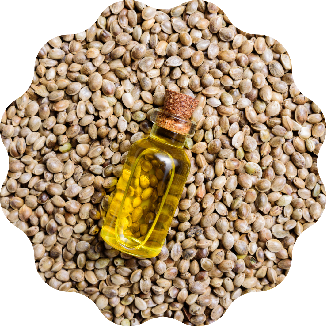 Organic Hempseed Oil for Skin Care, Massage, After Shower Oil or Bath Oil, Anti-Aging, Antioxidant, Reduce Inflammation