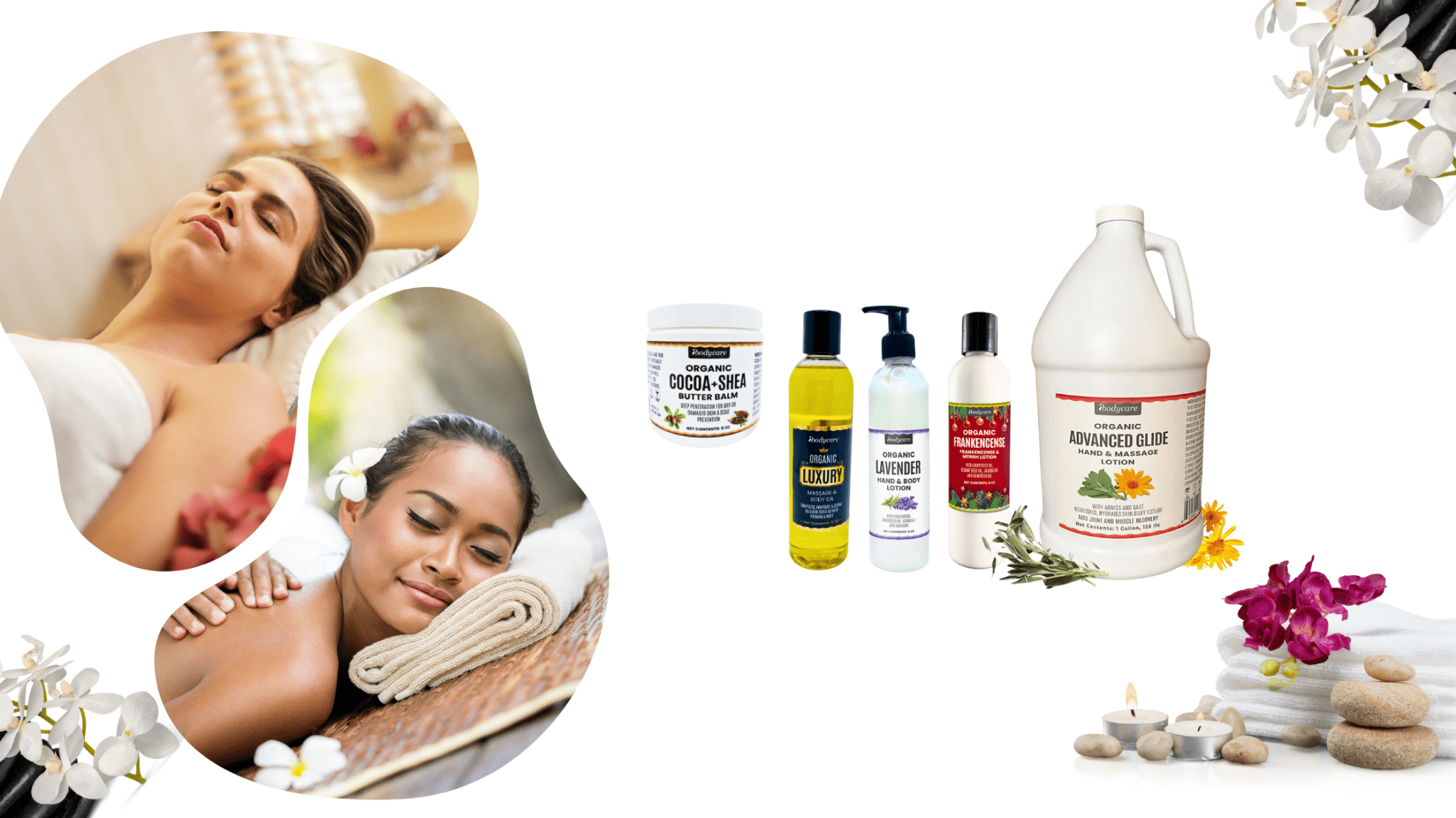 Massage Lotion & Oil - ibodycare