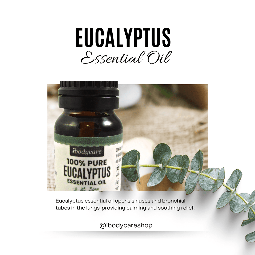 Essential Oil - Eucalyptus Essential Oil 10 Ml