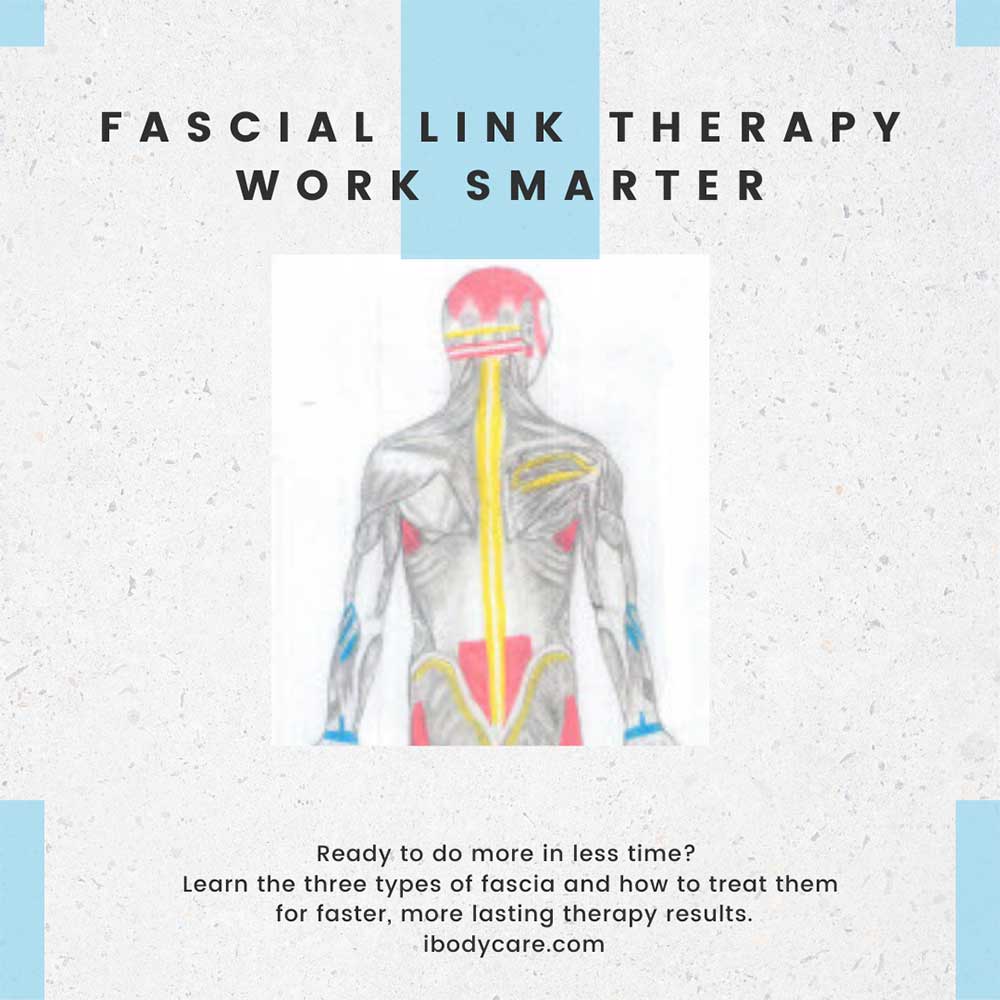 Fascial Link Therapy: Anatomy, Theory, Method and Practice - ibodycare - Allison Ishman - 