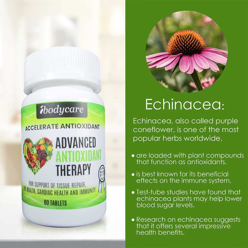 Accelerate Advanced Antioxidant, Eye Health & Immune System