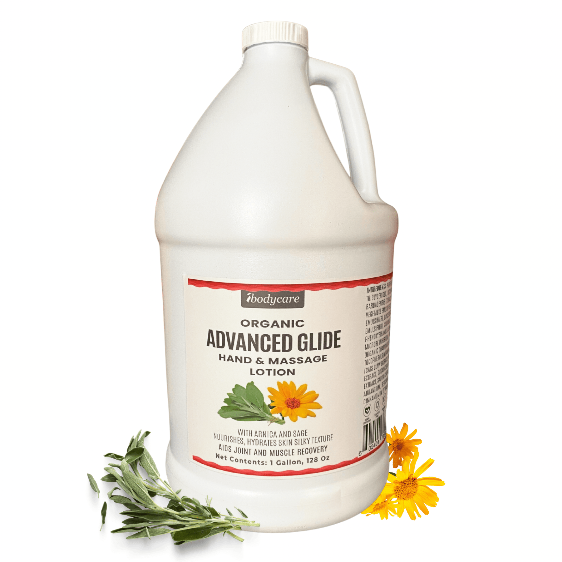 Advanced Glide Organic Hand & Massage Lotion with Arnica and Sage, Gallon - ibodycare - ibodycare - Single