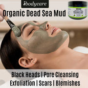 Organic Tingle Rosemary Mint Dead Sea Mud Mask