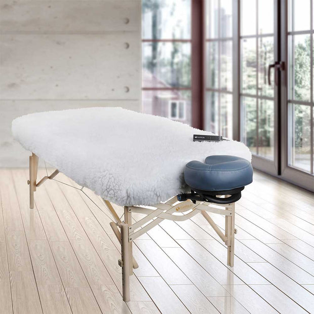 DLX Professional Massage Table Warmer