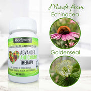 ibodycare advanced antioxidant therapy 