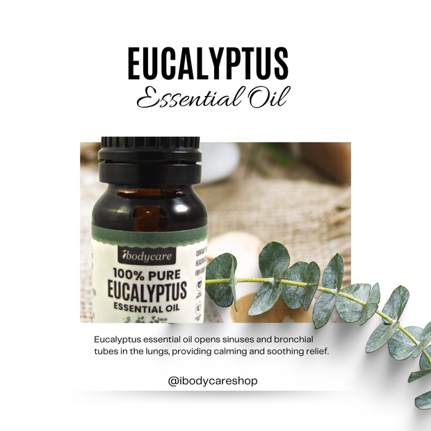 Eucalyptus Essential Oil for Sinus Relief