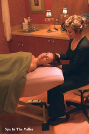  Oakworks ProLuxe Electric Salon Top, Neck Massage